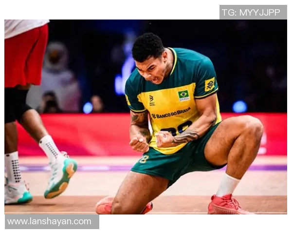 2013年俄罗斯男排对阵巴西精彩对决回顾与分析