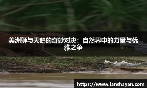 必一运动最新地址